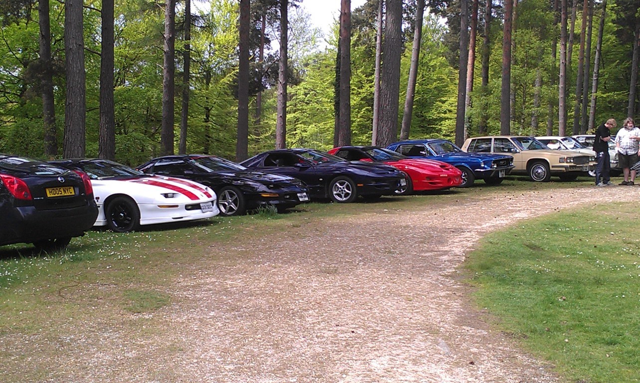 Line up of Cars