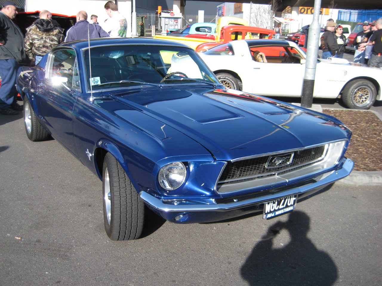 ma20090316 019