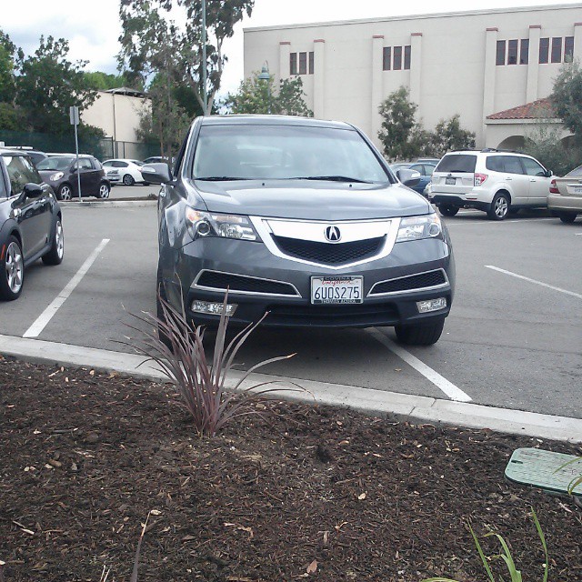 maybe if i hide behind this plant nobody will notice