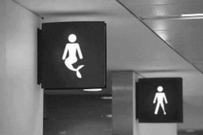 mermaid bathrooms how does that even work