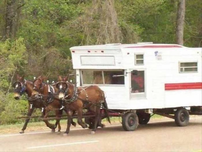 more folks from that half amish community