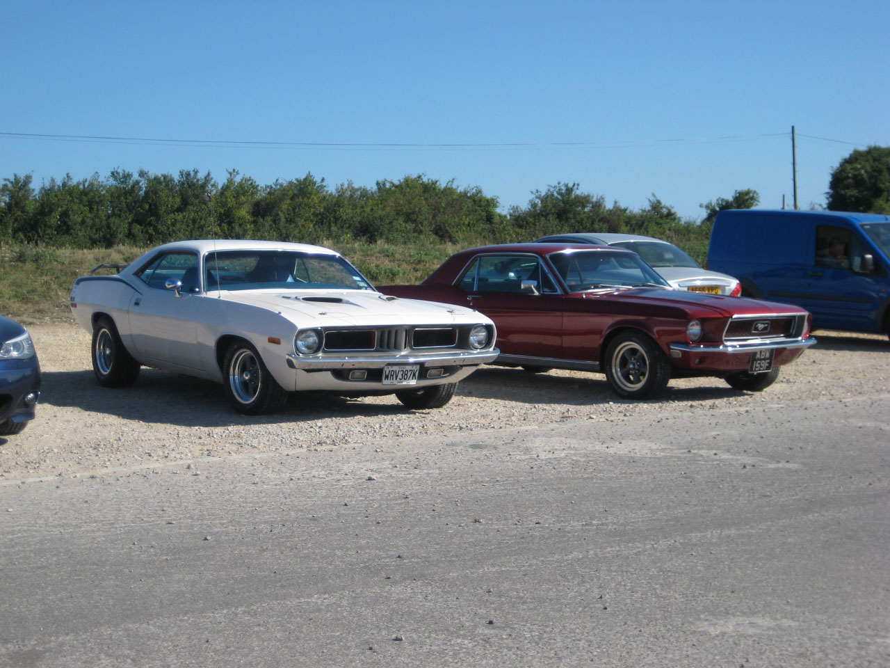Mustang and Barracuda