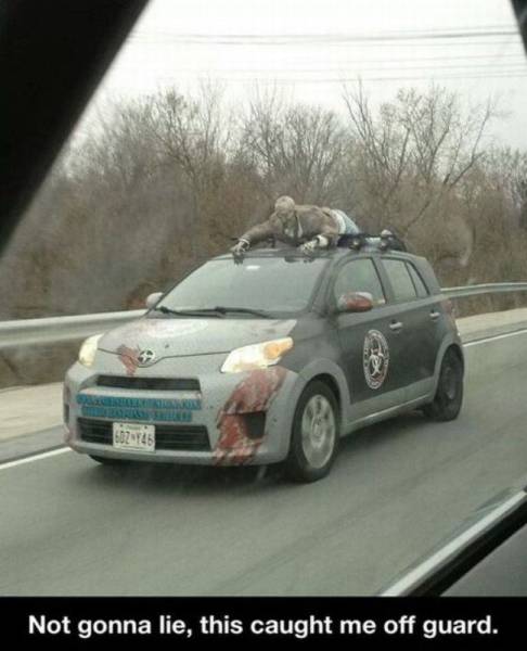 ok this whole zombie thing is getting out of hand