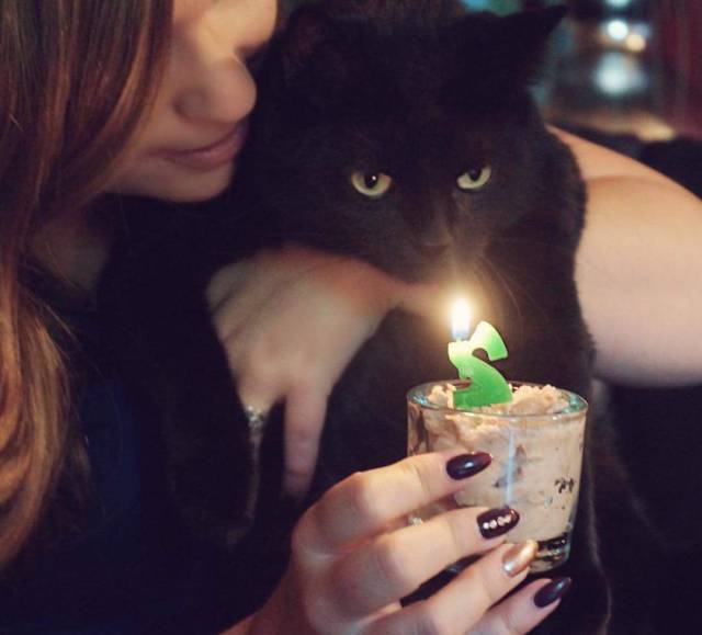 people who celebrate pet birthdays what should happen to them