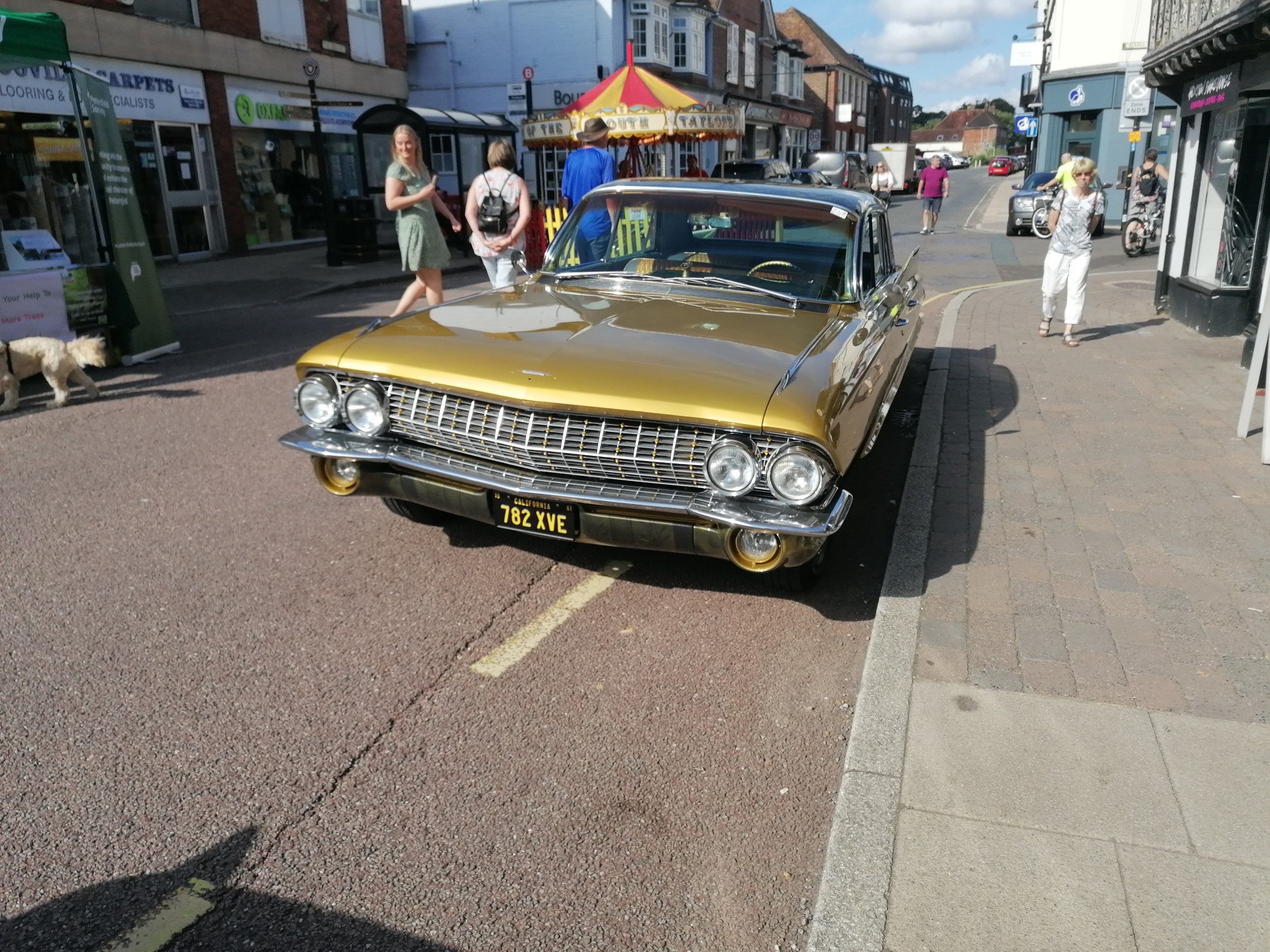 Petersfield_Summer_festival_2022_12.jpg