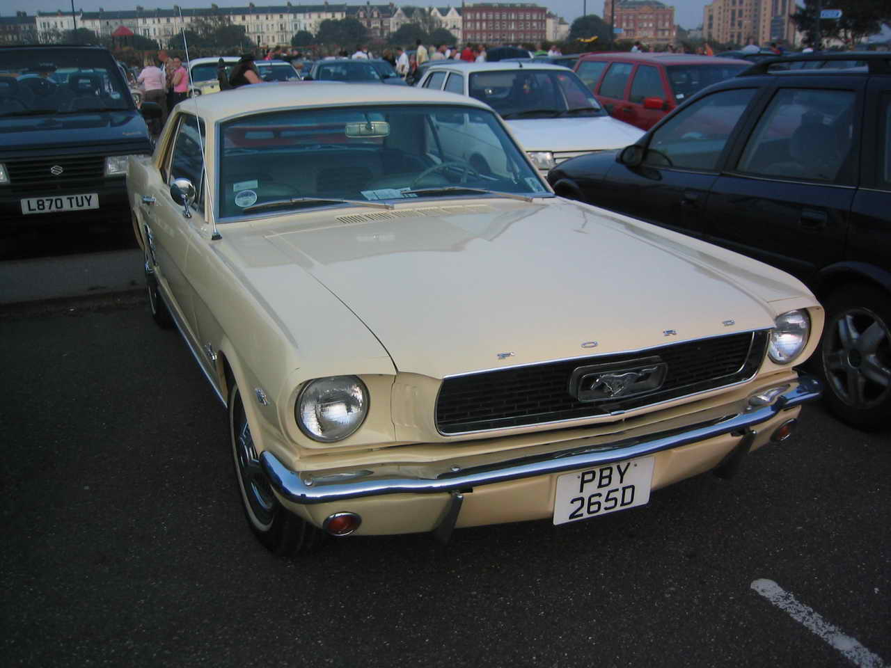 po20070415_001.jpg