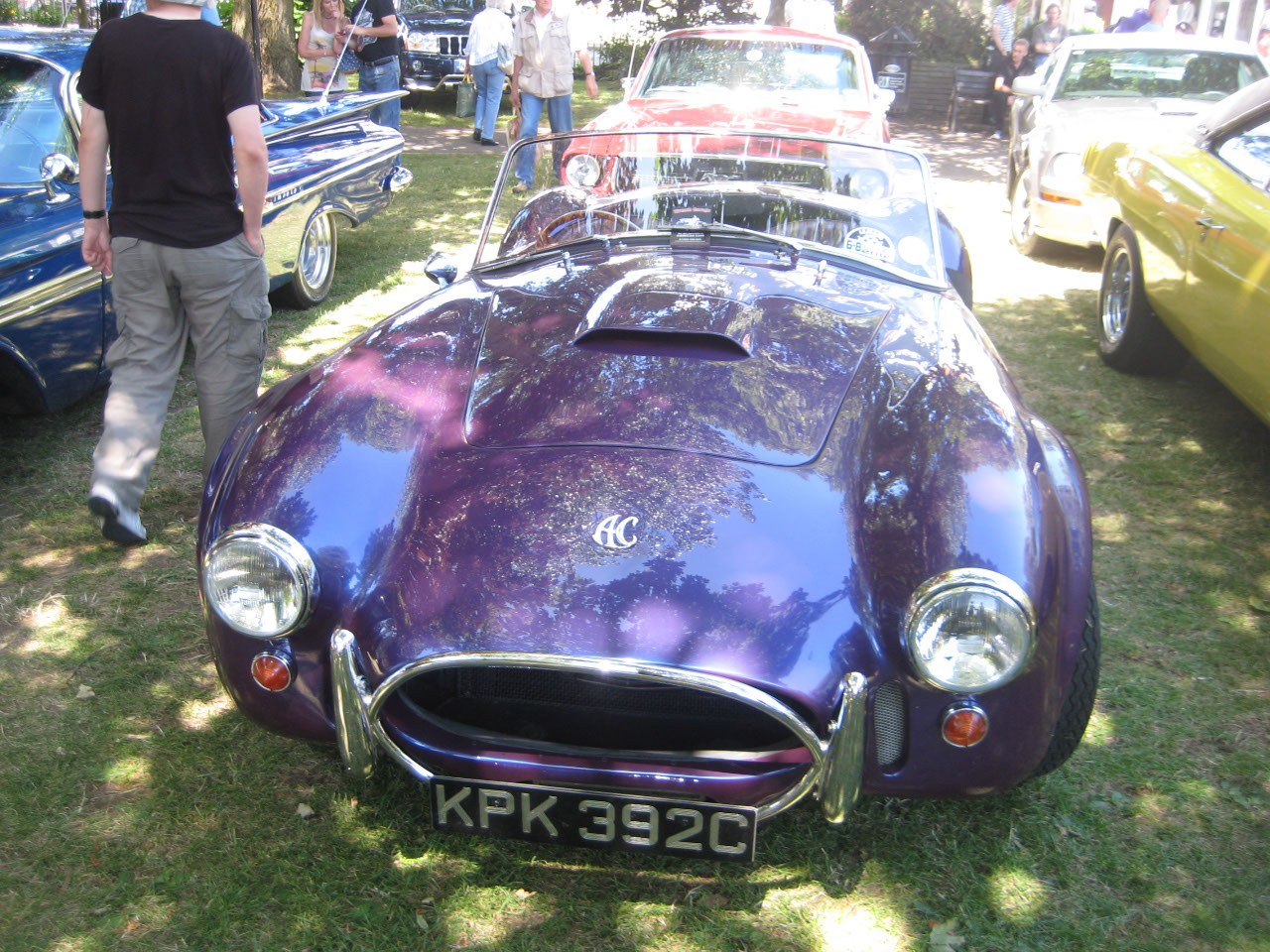 Purple AC Cobra