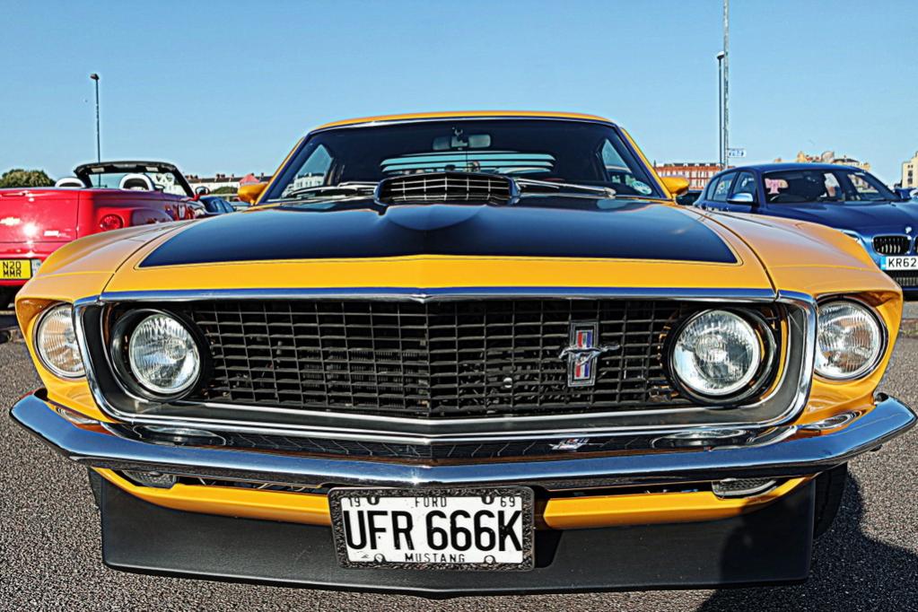 SAM 2593 002
