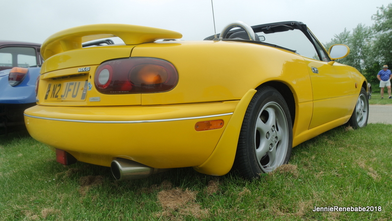 SAM 6290