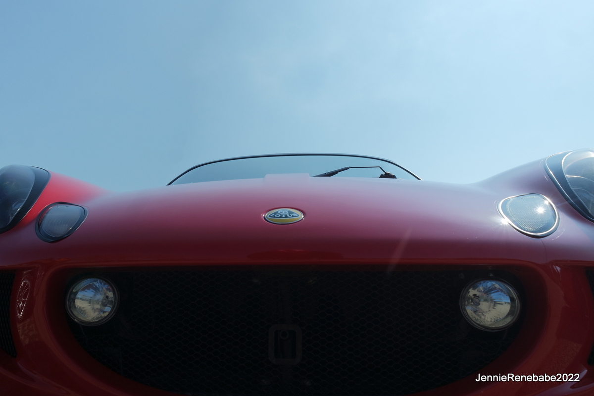SAM_8177.JPG