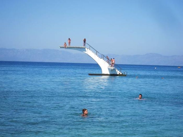 sharks love this diving board
