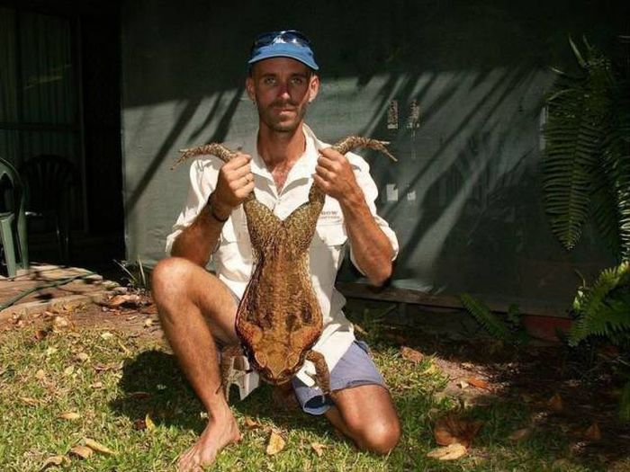 son have you ever seen a frogs crotch before