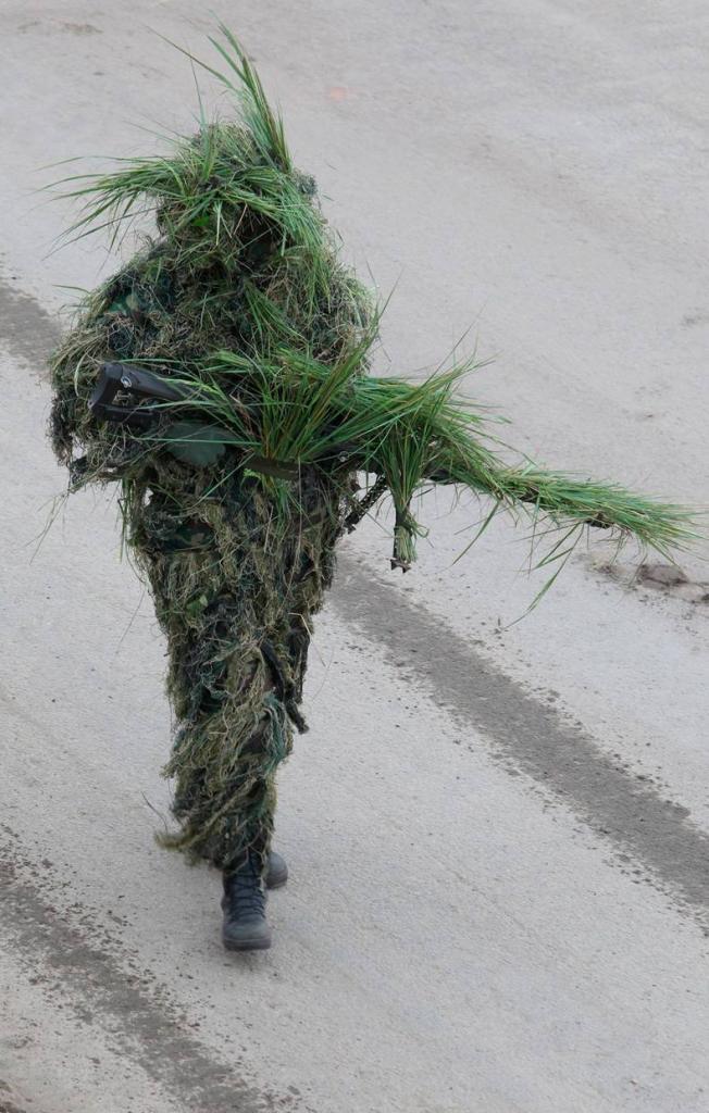 swamp thing has joined the navy seals