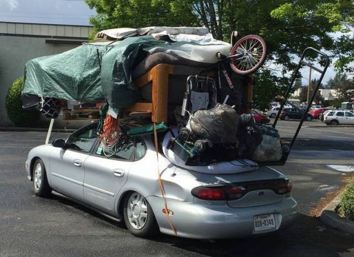 that must be one of those hippies moving to canada because of president trump