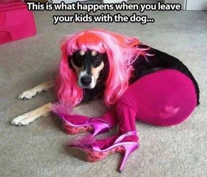 the dog blaming the kids again