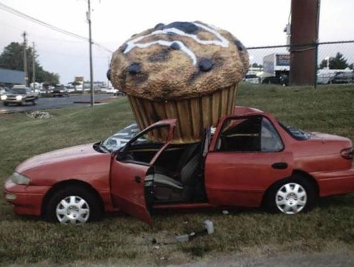 the insurance company is never going to believe him