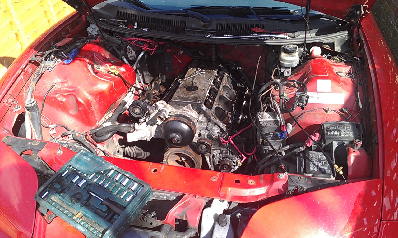 The sun is out, pulled the car out of the garage to get some fresh air.
