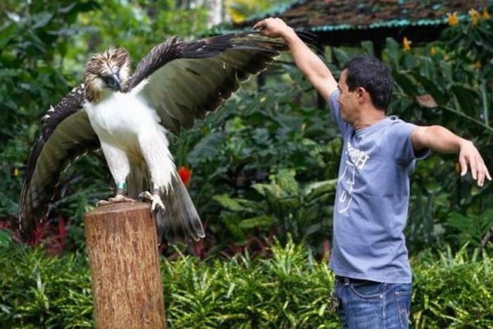 they gave an epic high five after the man swallowed a mouse