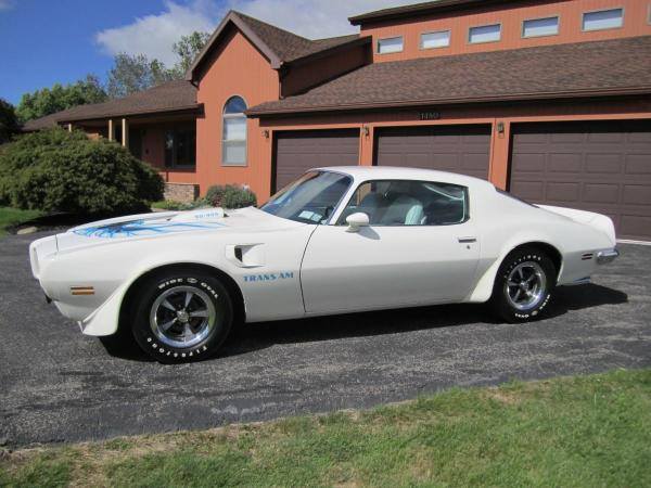 Trans Am White Bull Nose