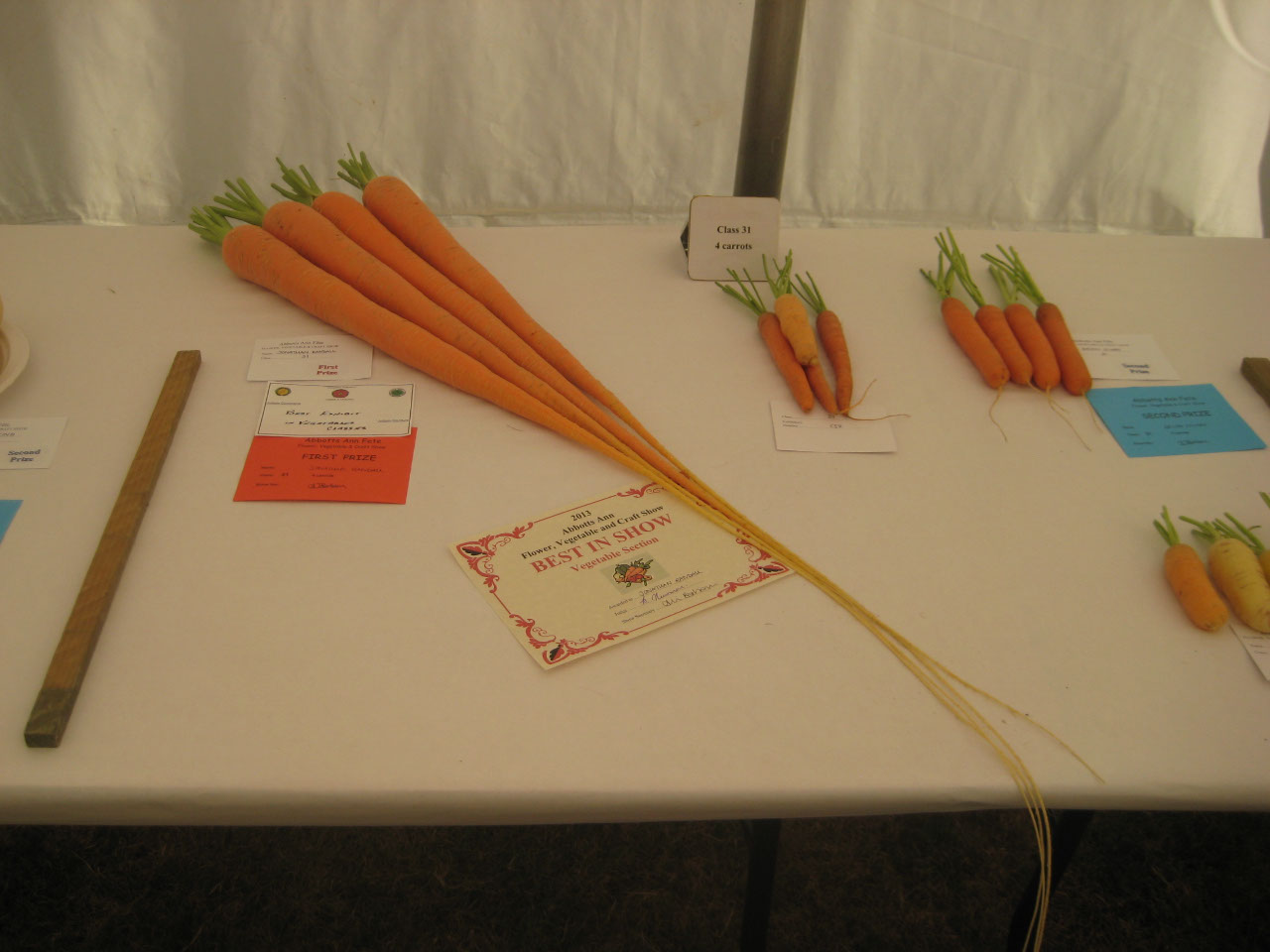 Very long carrots