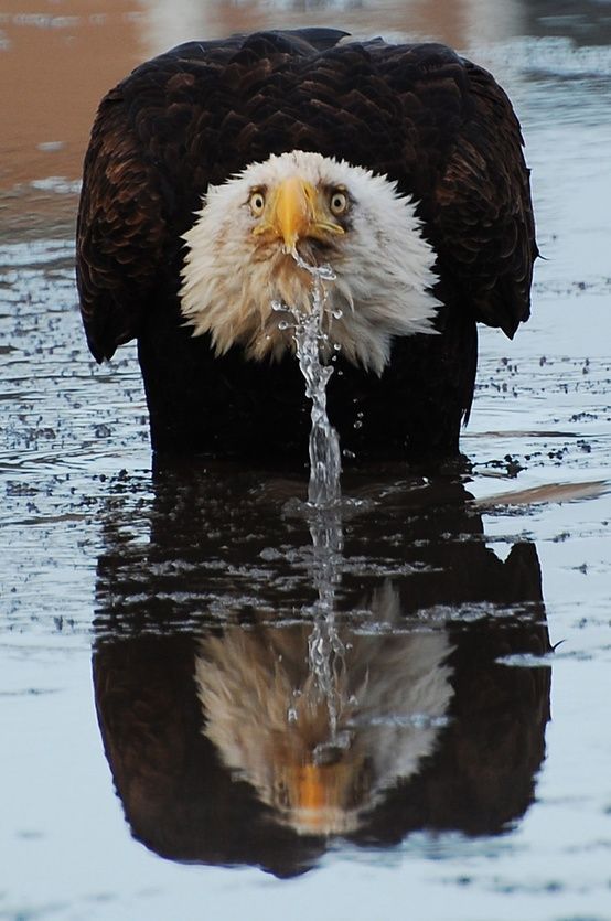 wait you said this is flint michigan water