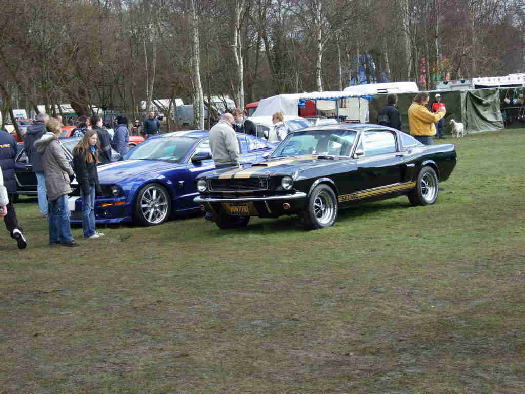 wd20080321 798