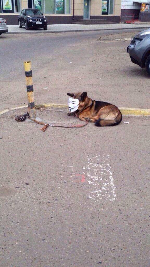 we found out who anonymous is