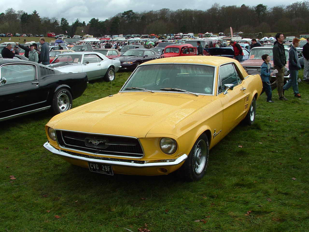 Wheels Day 2006 203