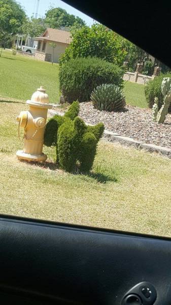 when you piss so long that foliage grows over your body