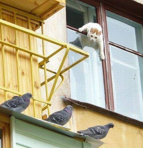 when you see a hot chick on the lunch break but cant have her
