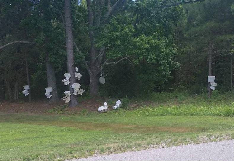 where toilets go to die