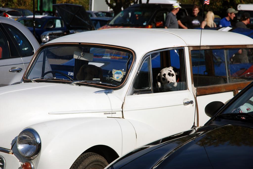 Woody Morris Minor 1000 Traveler