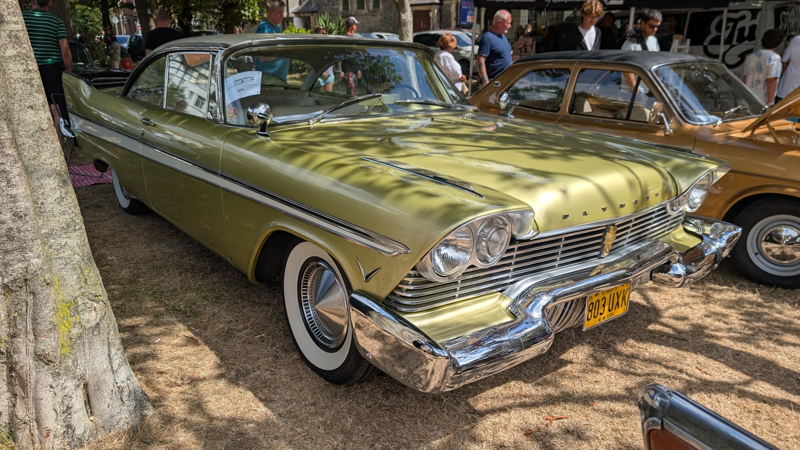 Worhing_Sunny_Sunday_2026_074.jpg