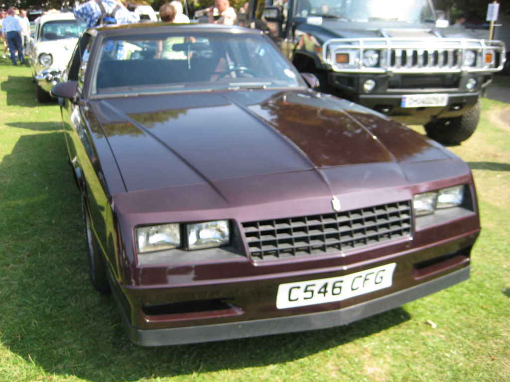 worthing  wo20080727 091