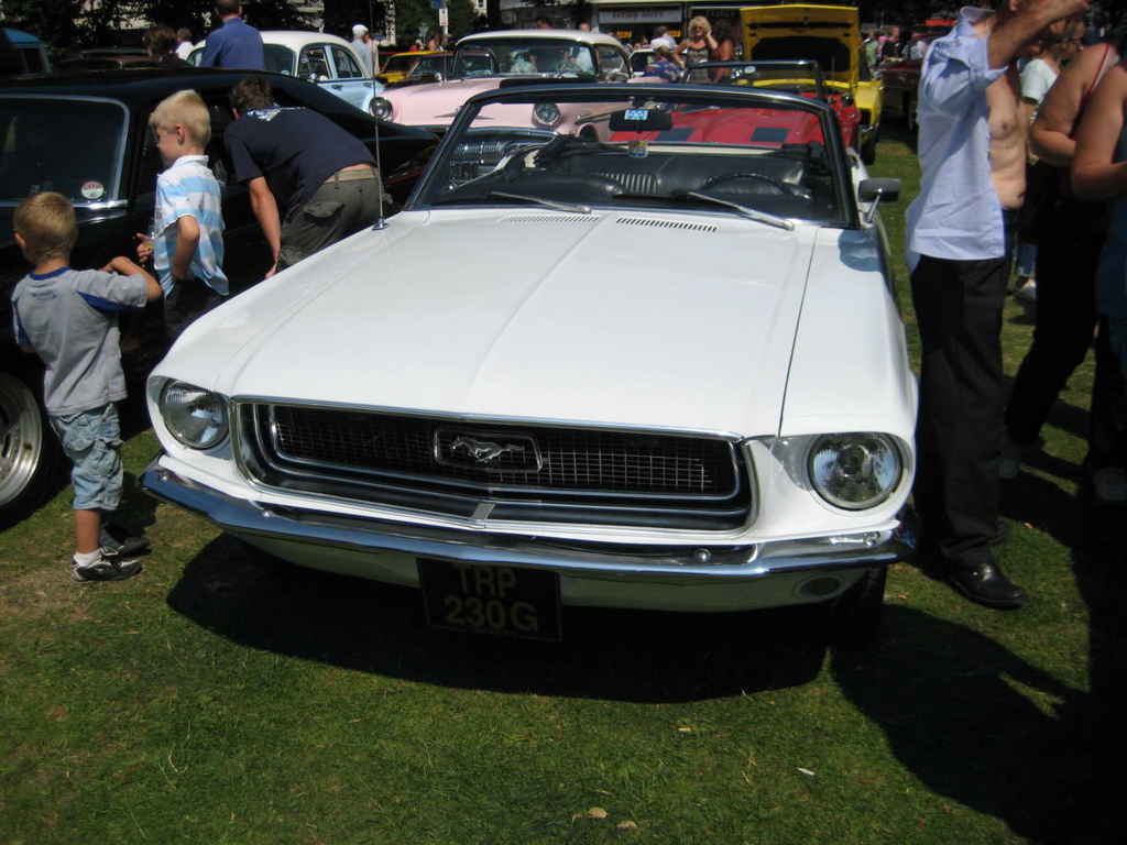 worthing  wo20080727 166
