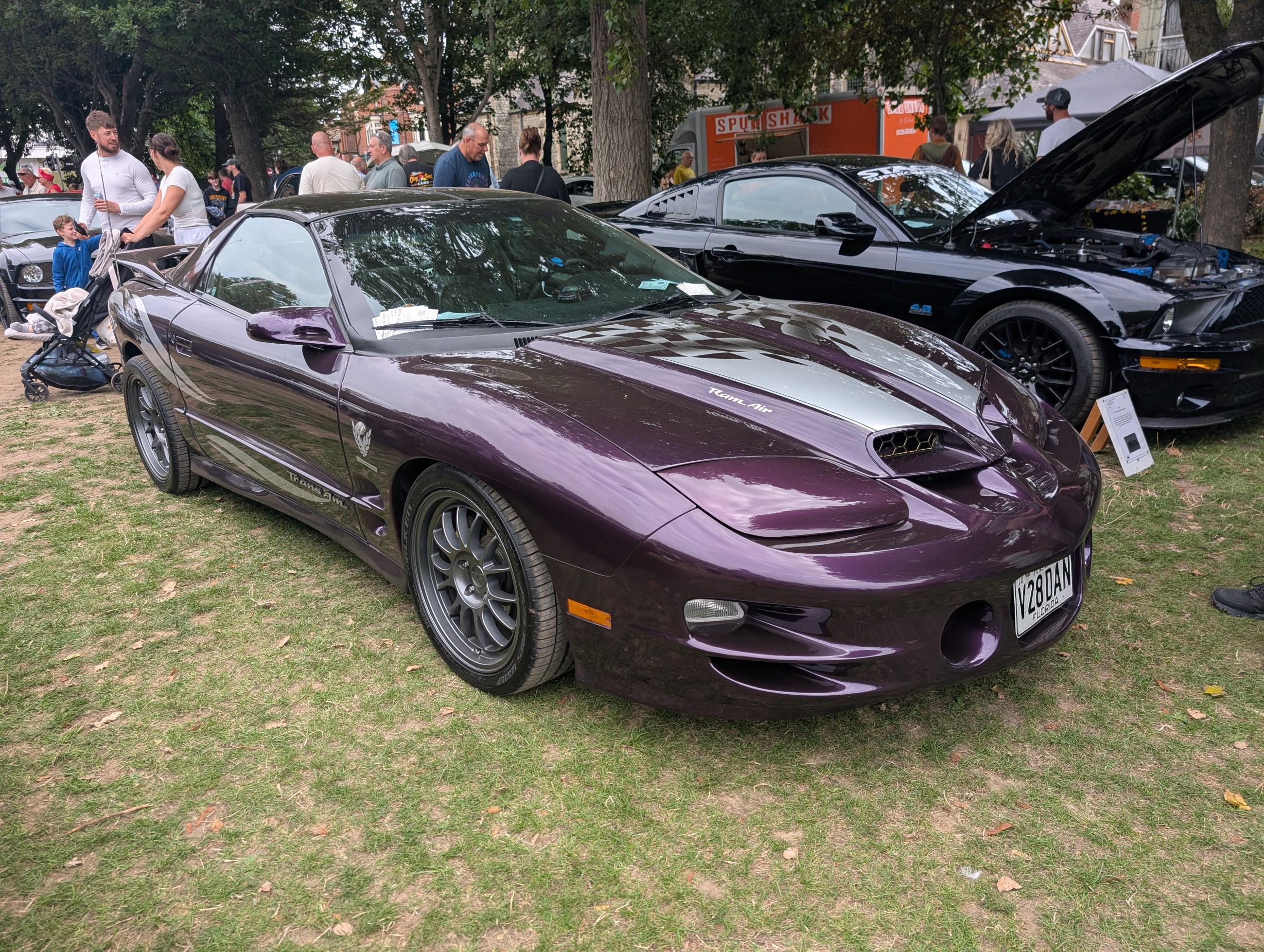 Worthing_Sunny_Sunday_2025_136.jpg