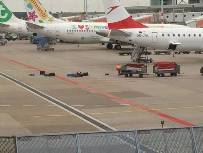 you have to pay extra for your bags not to be lost and trampled on this airline