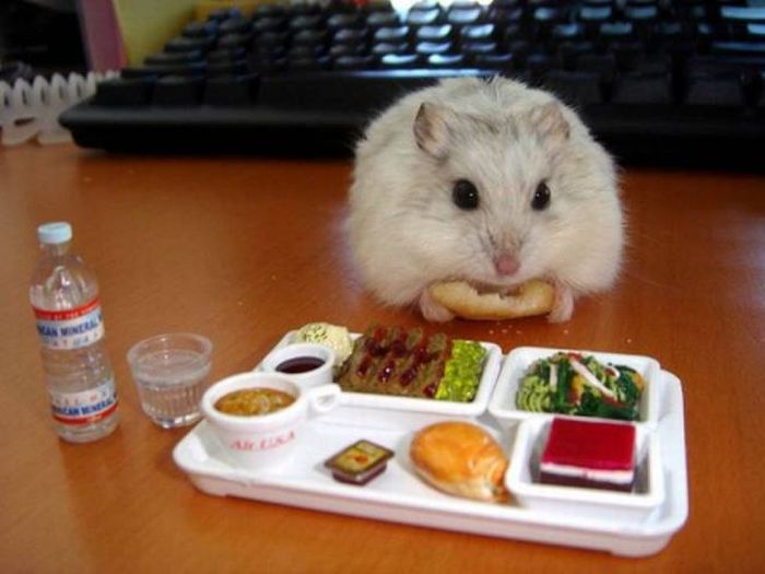 you think that s cool you should see how this guy feeds the people in his basement